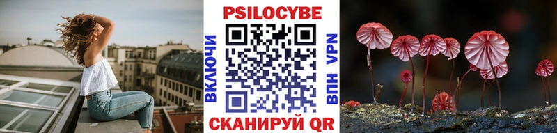 Купить  Устюжна  Галлюциногенные грибы прущие грибы 