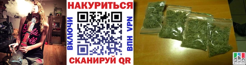 Купить где  Устюжна  Каннабис сатива 